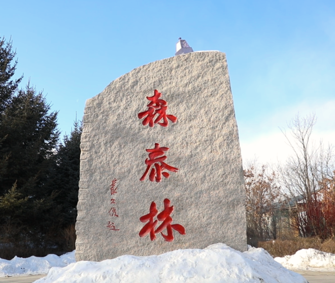 古瑞瓦特助力森泰木業(yè)實現(xiàn)零碳綠色未來