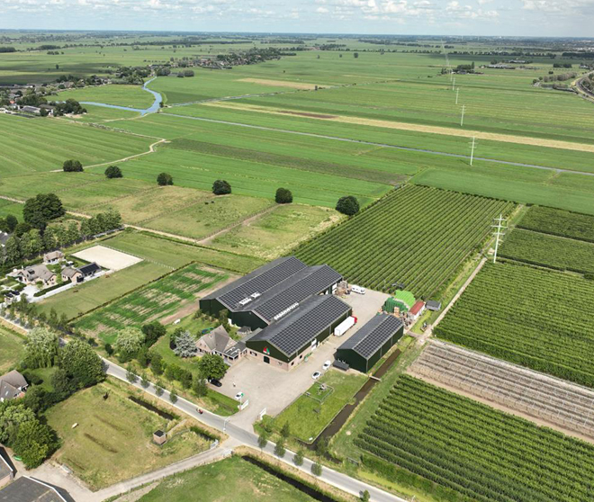 【古瑞瓦特】綠電走世界|荷蘭水果種植農場光伏電站