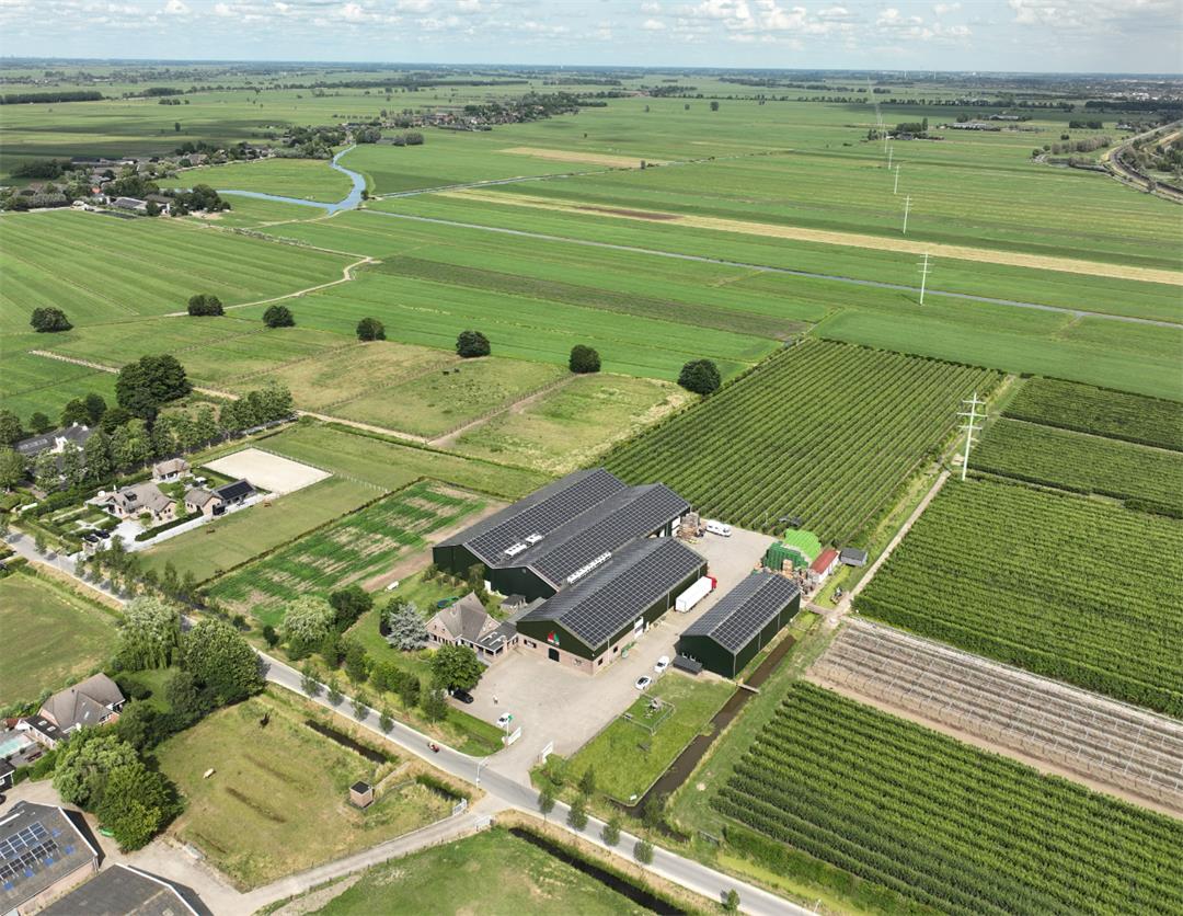 【古瑞瓦特光伏逆變器】綠電走世界|荷蘭水果種植農場電站